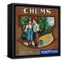 Charter Oak, California, Chums Brand Citrus Label-Lantern Press-Framed Stretched Canvas