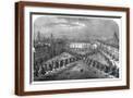 Brown Frame