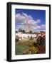 Chartres and Cathedral, Eure-Et-Loir, Centre, France-Charles Bowman-Framed Photographic Print