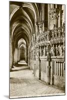 Chartres Cathedral-null-Mounted Art Print