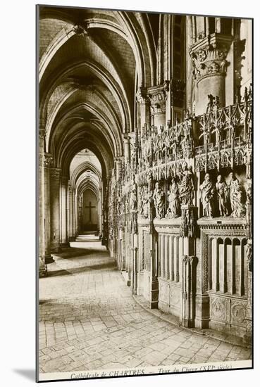 Chartres Cathedral-null-Mounted Art Print