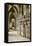 Chartres Cathedral-null-Framed Stretched Canvas