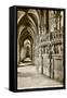 Chartres Cathedral-null-Framed Stretched Canvas