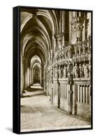 Chartres Cathedral-null-Framed Stretched Canvas