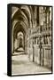 Chartres Cathedral-null-Framed Stretched Canvas