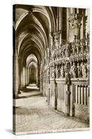 Chartres Cathedral-null-Stretched Canvas