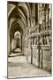 Chartres Cathedral-null-Mounted Art Print