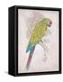 Chartreuse Tropical-Chad Barrett-Framed Stretched Canvas