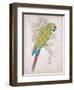 Chartreuse Tropical-Chad Barrett-Framed Art Print