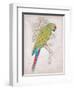 Chartreuse Tropical-Chad Barrett-Framed Art Print