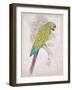 Chartreuse Tropical-Chad Barrett-Framed Art Print