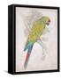 Chartreuse Tropical-Chad Barrett-Framed Stretched Canvas