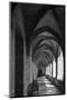 chartreuse Val de Bénédiction, cloister, cloister, Villeneuve lès Avignon, -Klaus Neuner-Mounted Photographic Print