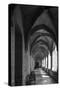 chartreuse Val de Bénédiction, cloister, cloister, Villeneuve lès Avignon, -Klaus Neuner-Stretched Canvas