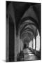 chartreuse Val de Bénédiction, cloister, cloister, Villeneuve lès Avignon, -Klaus Neuner-Mounted Photographic Print