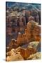 Charyn Canyon, Kazakhstan-Keren Su-Stretched Canvas