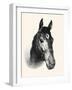 Chase Me; Pet And Race Horse-C.W. Anderson-Framed Art Print
