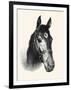 Chase Me; Pet And Race Horse-C.W. Anderson-Framed Art Print