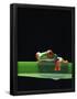 Essential Black