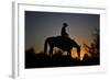 Chasin the Sun-Barry Hart-Framed Art Print