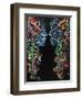 Chasing Auras-Farrell Douglass-Framed Giclee Print