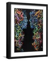 Chasing Auras-Farrell Douglass-Framed Giclee Print