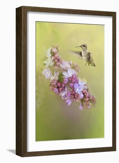 Chasing Lilacs-Jai Johnson-Framed Giclee Print