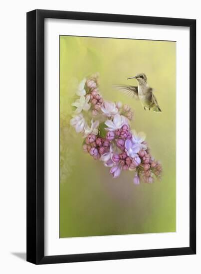 Chasing Lilacs-Jai Johnson-Framed Giclee Print