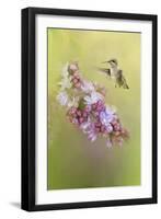 Chasing Lilacs-Jai Johnson-Framed Giclee Print