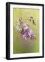 Chasing Lilacs-Jai Johnson-Framed Giclee Print