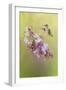 Chasing Lilacs-Jai Johnson-Framed Giclee Print