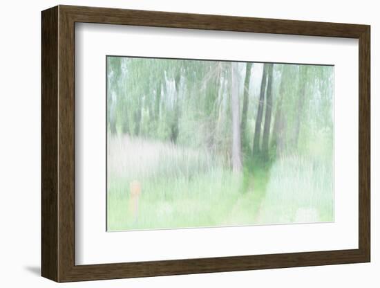 Chasing Shadows-Jacob Berghoef-Framed Photographic Print