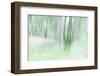 Chasing Shadows-Jacob Berghoef-Framed Photographic Print