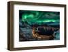 Chasing the Northern Lights-Javier de la-Framed Photographic Print