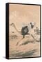 Chasing the Ostrich, c1880-null-Framed Stretched Canvas