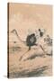 Chasing the Ostrich, c1880-null-Stretched Canvas