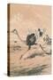 Chasing the Ostrich, c1880-null-Stretched Canvas