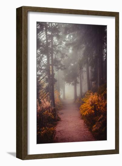 Chasing the Winds of Fall-Philippe Sainte-Laudy-Framed Photographic Print