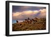 Chasing Thunder-Lisa Dearing-Framed Photographic Print