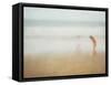 Chasing Waves I-Doug Chinnery-Framed Stretched Canvas