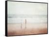 Chasing Waves II-Doug Chinnery-Framed Stretched Canvas