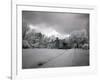 Chasley Barn-Carol Highsmith-Framed Photo