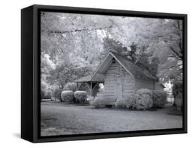 Chasley, Monroe County, Alabama-Carol Highsmith-Framed Stretched Canvas