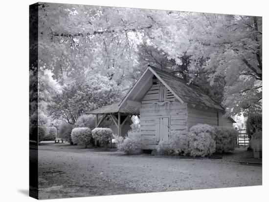 Chasley, Monroe County, Alabama-Carol Highsmith-Stretched Canvas