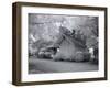 Chasley, Monroe County, Alabama-Carol Highsmith-Framed Photo