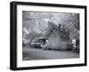 Chasley, Monroe County, Alabama-Carol Highsmith-Framed Photo