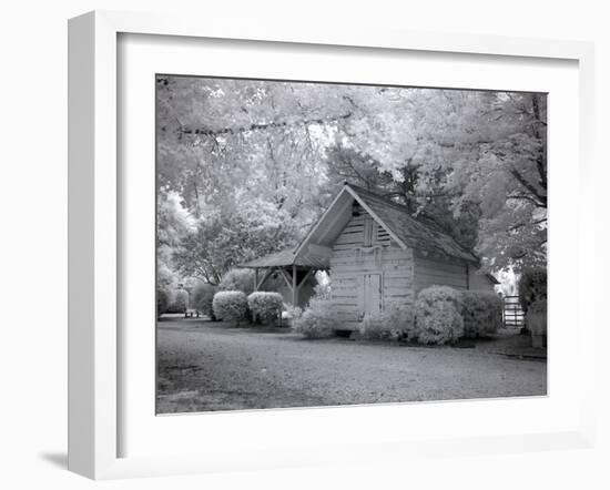 Chasley, Monroe County, Alabama-Carol Highsmith-Framed Photo