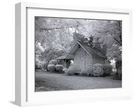 Chasley, Monroe County, Alabama-Carol Highsmith-Framed Photo