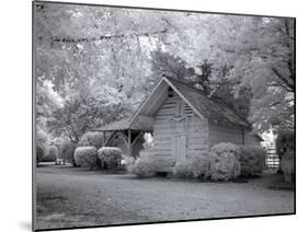 Chasley, Monroe County, Alabama-Carol Highsmith-Mounted Photo