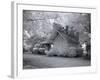 Chasley, Monroe County, Alabama-Carol Highsmith-Framed Photo